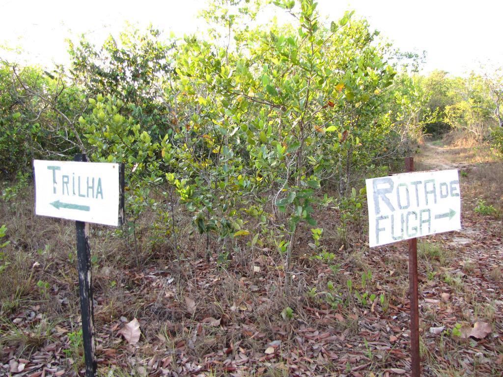 Hotel Fazenda Arara Azul Carolina  Zewnętrze zdjęcie