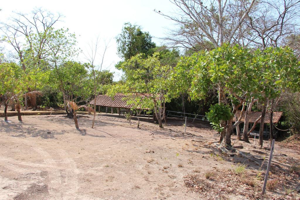 Hotel Fazenda Arara Azul Carolina  Zewnętrze zdjęcie